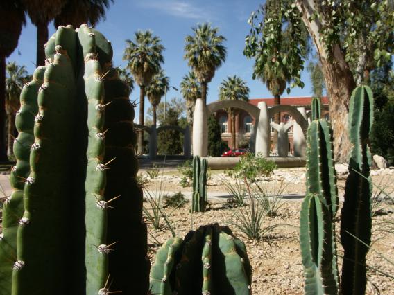 Women's Plaza with Cactus